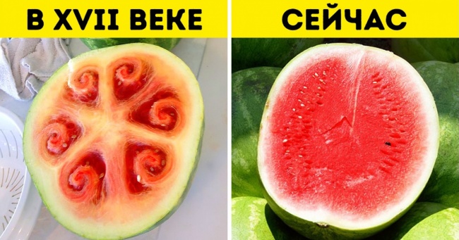 17 фактів про наш світ, які багатьох поставлять у тупик