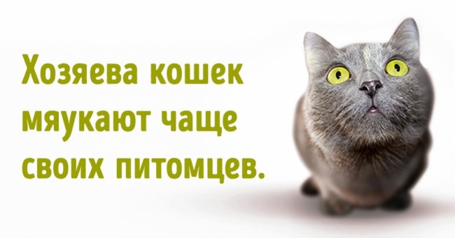 13 абсурдних фактів про нашу з вами життя