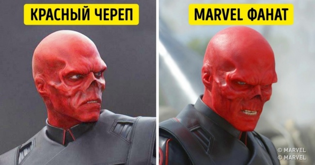 10 божевільних вчинків, на які пішли фанати заради знаменитостей