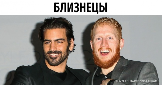 18 доказів, що гени — ті ще жартівники