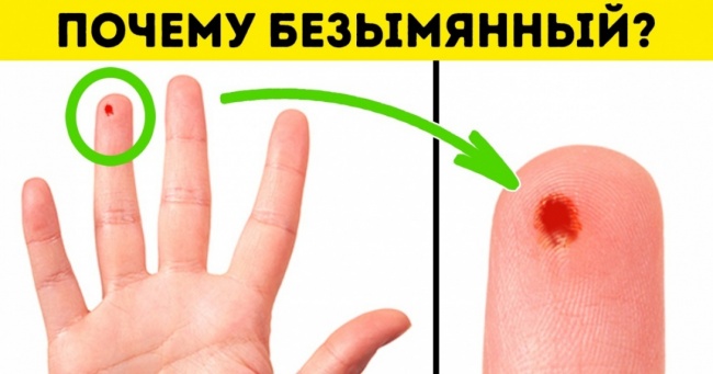 17 відповідей на питання, які ви хотіли знати, але лінувалися гуглити