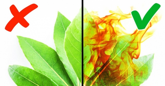 7 властивостей лаврушки, про яких ми навіть не підозрювали