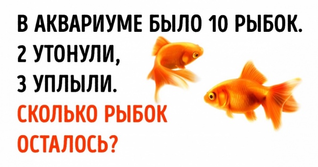10 хитрих запитань, які тільки прикидаються простими