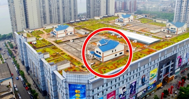 10 крутих будинків, які надійно заховані від сторонніх очей