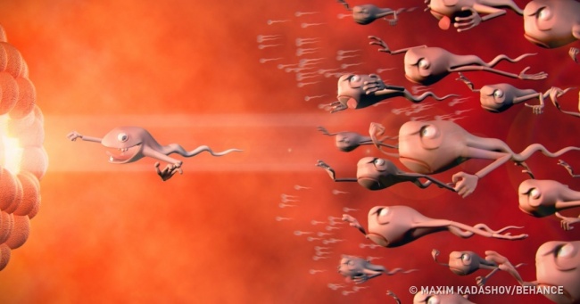 9 місяців вагітності в 4 хвилинах