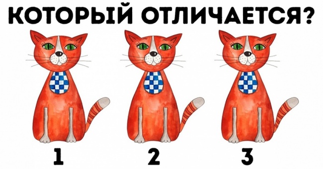 Тільки генії зможуть знайти всі відмінності на цих 15 картинках