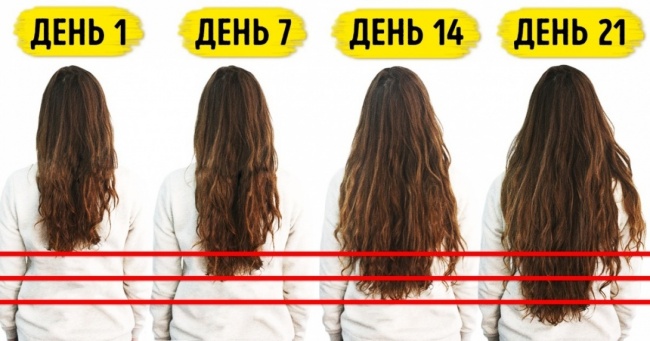 7 продуктів, які потрібно їсти, щоб прискорити зростання волосся