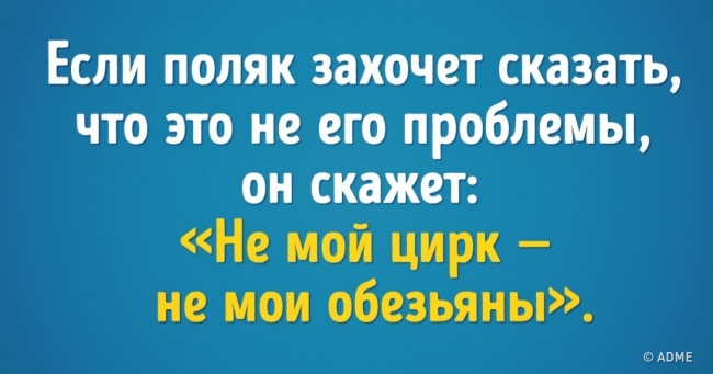 «Припаркувати тапки» і ще 35 забавних приказок зі всього світу