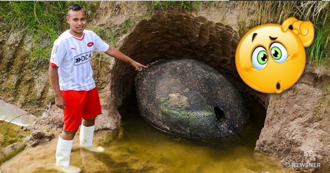 10 самих несподіваних знахідок, які люди виявили у себе у дворі