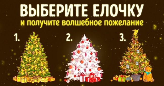 Наші ялинки розкажуть, що вас чекає в 2017 році