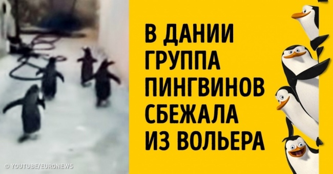 Ось чим ділилися один з одним користувачі мережі в 2016 році