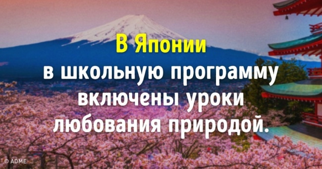 6 уроків з різних країн, які не захоче пропустити жоден школяр