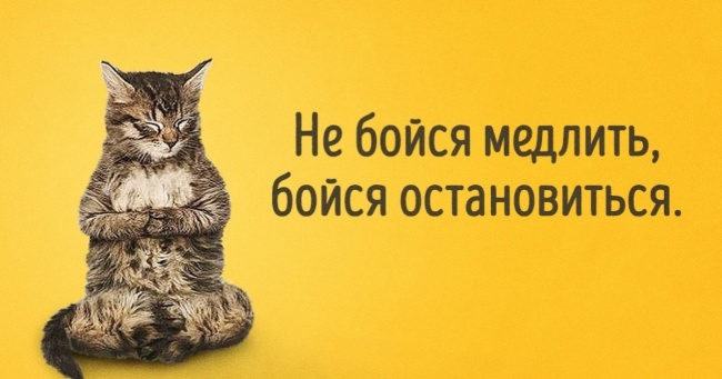 Дзен-мудрості пост