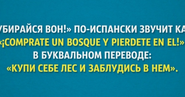 «Купи собі ліс і заблудись в ньому». І ще 20 ідіом зі всього світу