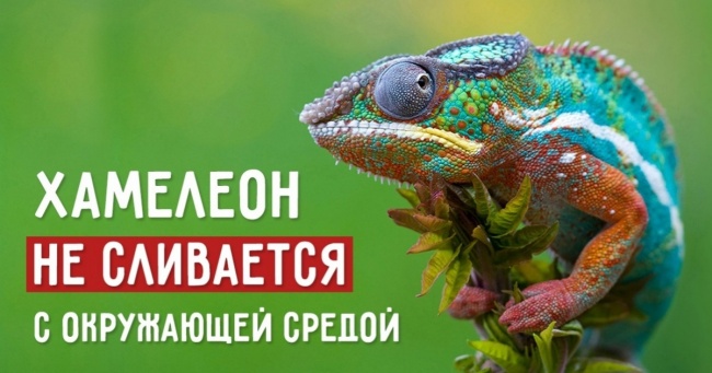 10 помилок, які багато хто приймає за правду