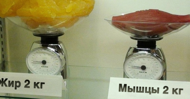 18 фотографій, які відкривають світ із нової сторони