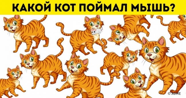 Щоб вирішити ці 3 завдання, не потрібно бути генієм. Але поскрипіти мізками все ж доведеться