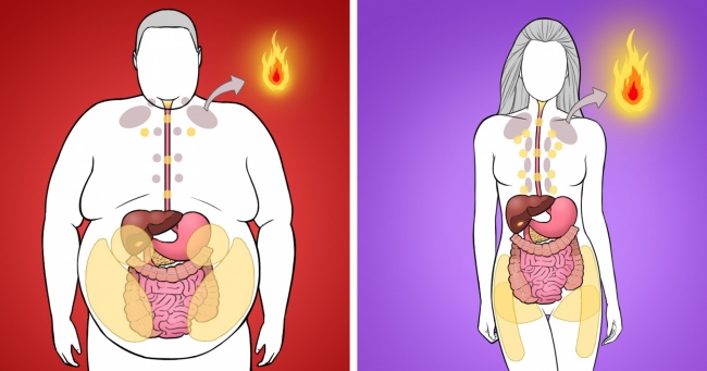 Як розпізнати місця скупчення надлишкового жиру і позбутися від нього