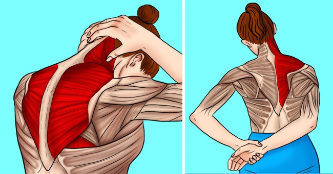 11 вправ для зняття напруги в шиї і плечах