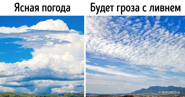 За пару секунд зрозуміти, що надіти, виходячи на вулицю