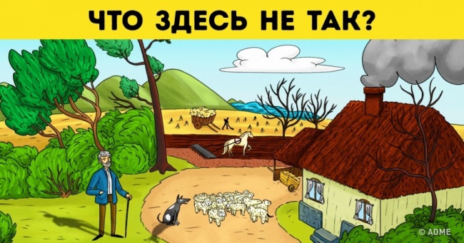 Завдання для самих уважних. Зможете знайти тут всі помилки?