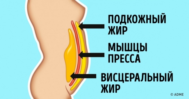 Цей комплексний метод допоможе швидко прибрати жир з живота