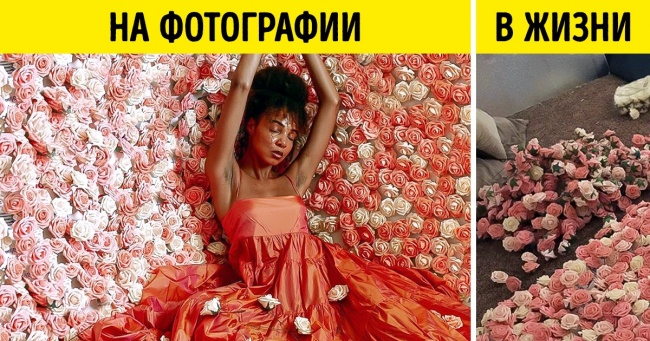 20+ фотографів, які довели, що для креативних знімків потрібен зовсім не фотошоп, а кмітливість