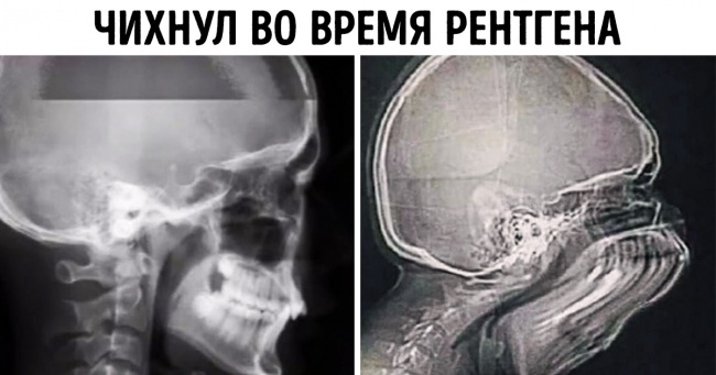 19 доказів того, що навіть звичні речі здатні не на жарт здивувати