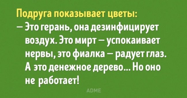 9 кімнатних рослин, які не вимагають багато уваги і води