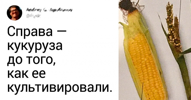 20 користувачів, від яких нічого не сховаєш