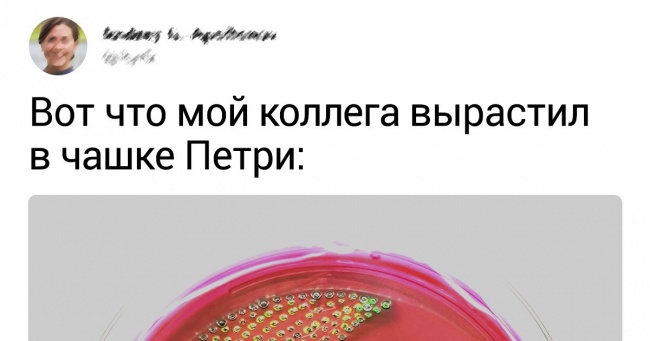 20+ фото, на яких все ідеально до такої міри, що навіть не віриться