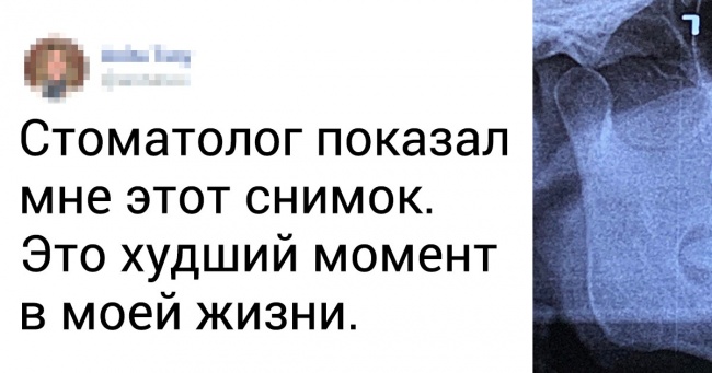 20 доказів того, що світ може підкинути підлоту там, де цього найменше очікуєш