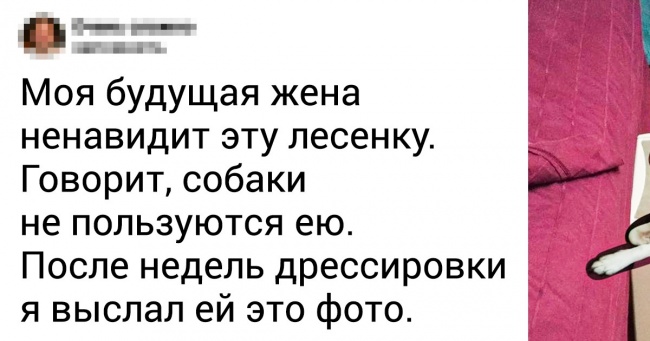 20+ мужів і жон, які на 99 % складаються з гумору