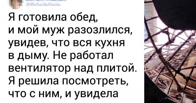 16 осіб поділилися своїм маленьким щастям, і ми читали ці історії затамувавши подих
