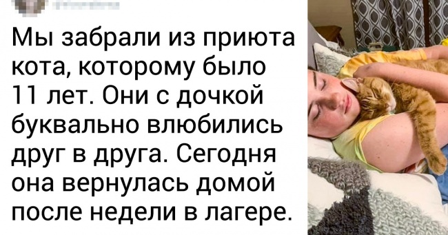 25 людей, яким вдалося зловити на фото момент справжнього щастя