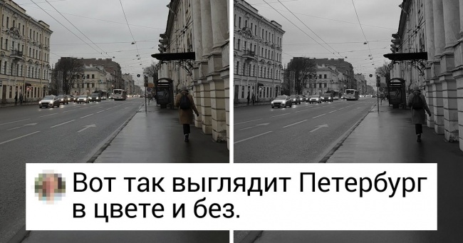 20 фото для тих, кому терміново потрібно здригнутися і побачити щось нове