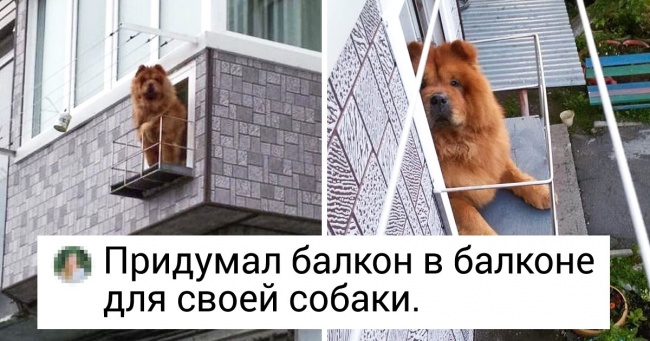 15 фотографій, які доведуть, що немає межі людській винахідливості