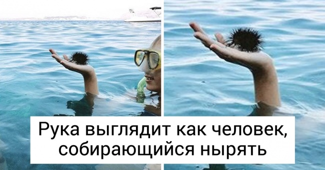 19 фото, які стають краще з кожною секундою перегляду