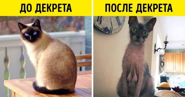 19 жартівливих доказів того, що світ змінюється із запаморочливою швидкістю