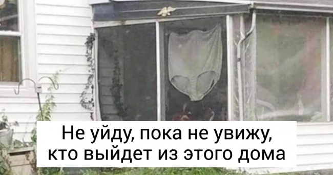 16 коментарів від користувачів мережі, про почуття гумору яких можна порізатися