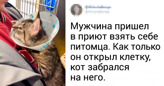 20+ теплих фото, які зігріють у найлютіший холод