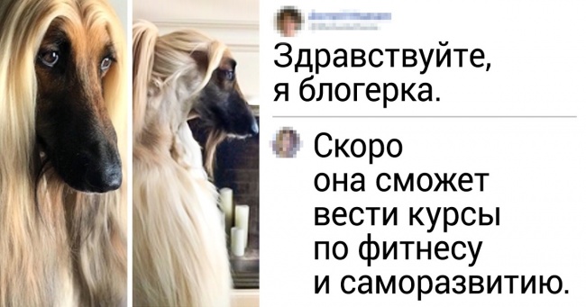 18 осіб, які можуть однієї фрази перетворити будь-яке фото на шедевр