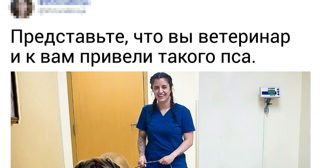 25 фотосравнений, у яких міститься колосальна різниця звичних речей