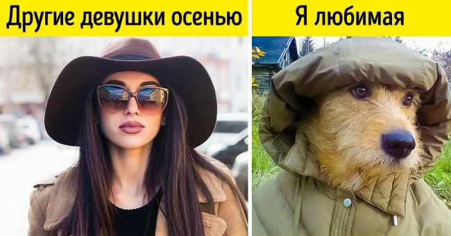 18 наочних доказів того, що у світі існує лише 2 типу дівчат