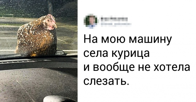 20 фотографій і їх реальні історії, які більше схожі на вигадку