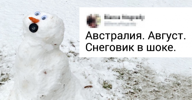 Австралію накрило снігом — подивіться, як реагують на стихію жителі і кенгуру