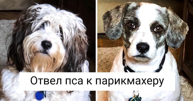 18 фото «до» і «після», без яких ніхто б не повірив, що такі зміни можливі