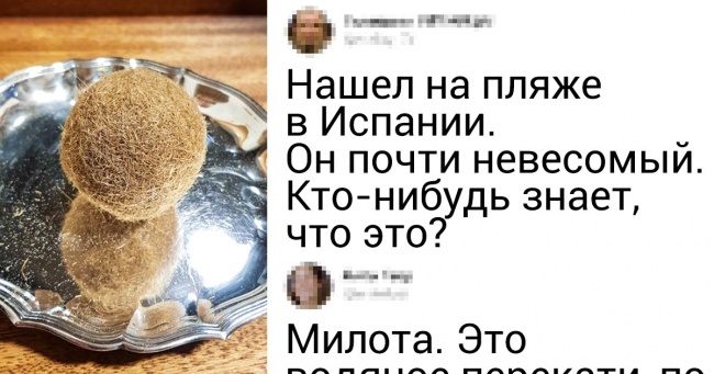20 знімків, які ошарашат навіть тих, хто впевнений, що бачив все