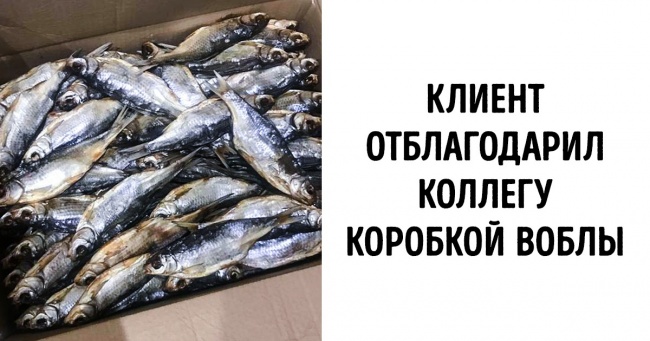 20+ людина розповіли про дивних подарунки, які вони запам'ятають на все життя