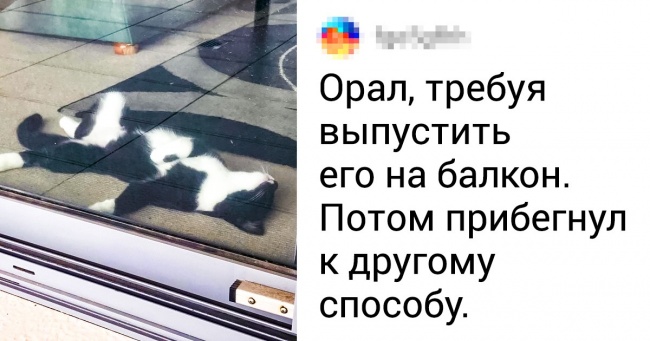 20 емоційних фото від тих, хто знає толк у цій драмі